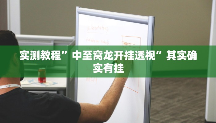 实测教程”中至窝龙开挂透视”其实确实有挂