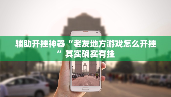 辅助开挂神器“老友地方游戏怎么开挂”其实确实有挂