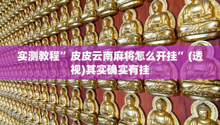 实测教程”皮皮云南麻将怎么开挂”(透视)其实确实有挂
