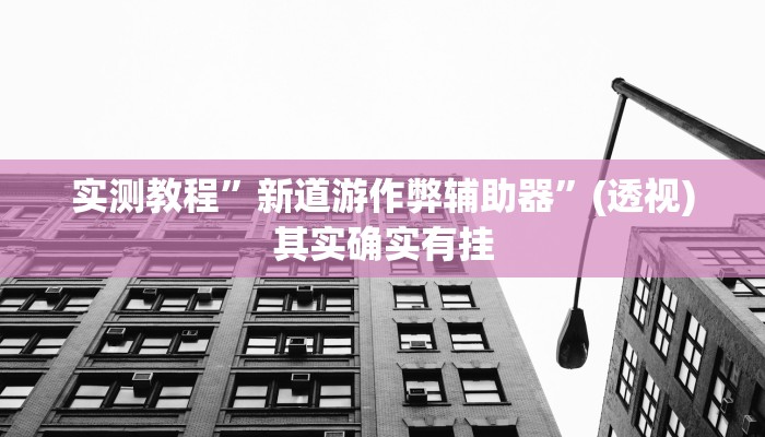 实测教程”新道游作弊辅助器”(透视)其实确实有挂