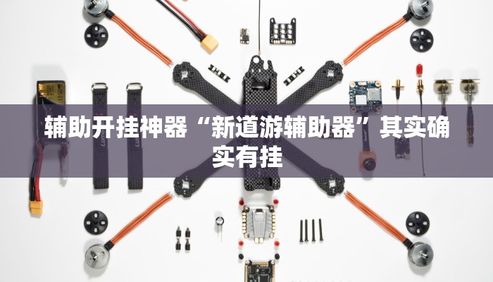 辅助开挂神器“新道游辅助器”其实确实有挂