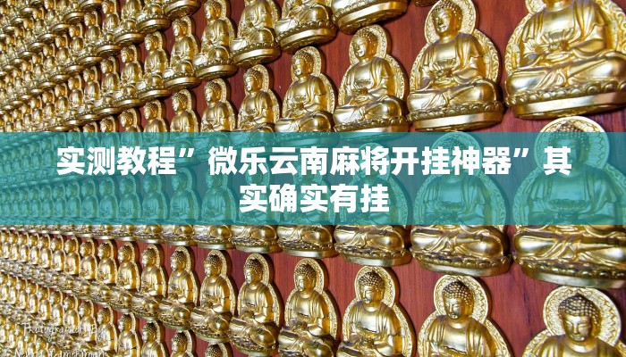 实测教程”微乐云南麻将开挂神器”其实确实有挂