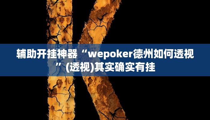 辅助开挂神器“wepoker德州如何透视”(透视)其实确实有挂