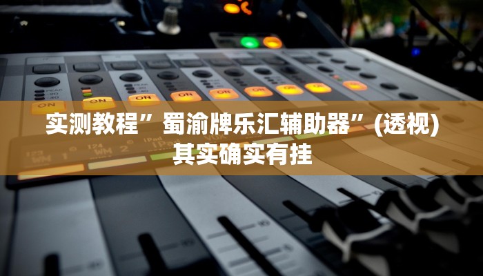 实测教程”蜀渝牌乐汇辅助器”(透视)其实确实有挂