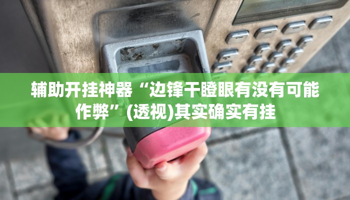 辅助开挂神器“边锋干瞪眼有没有可能作弊”(透视)其实确实有挂