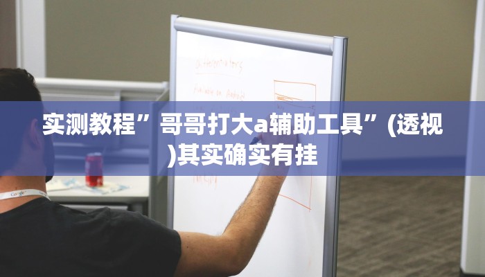 实测教程”哥哥打大a辅助工具”(透视)其实确实有挂