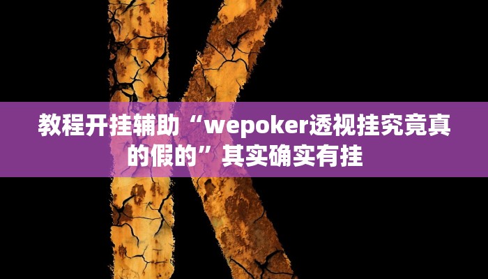 教程开挂辅助“wepoker透视挂究竟真的假的”其实确实有挂