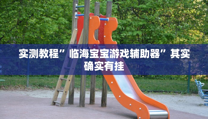 实测教程”临海宝宝游戏辅助器”其实确实有挂