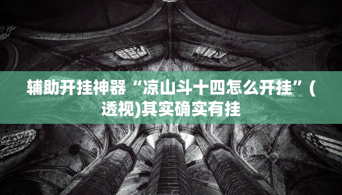 辅助开挂神器“凉山斗十四怎么开挂”(透视)其实确实有挂