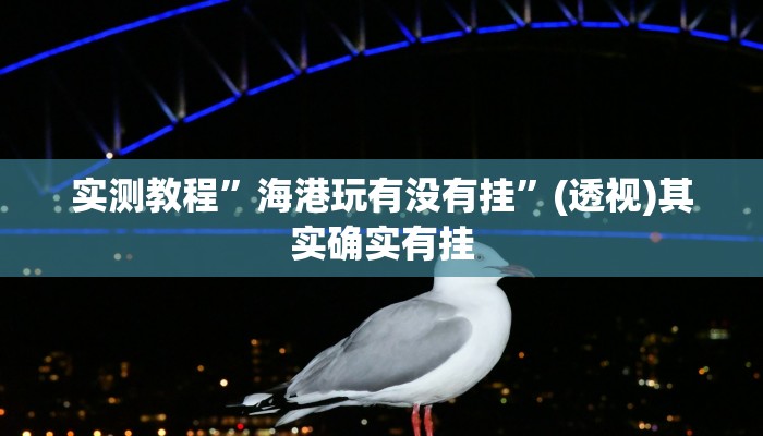 实测教程”海港玩有没有挂”(透视)其实确实有挂