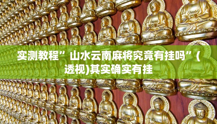 实测教程”山水云南麻将究竟有挂吗”(透视)其实确实有挂