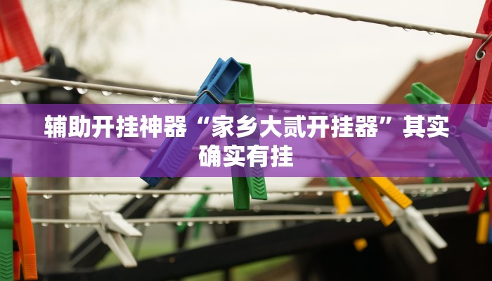 辅助开挂神器“家乡大贰开挂器”其实确实有挂