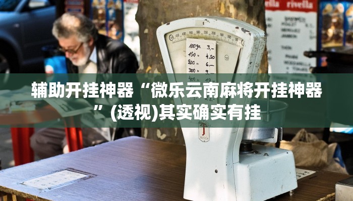 辅助开挂神器“微乐云南麻将开挂神器”(透视)其实确实有挂