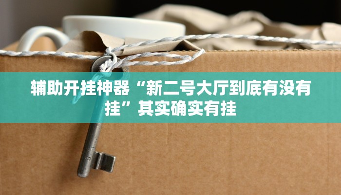 辅助开挂神器“新二号大厅到底有没有挂”其实确实有挂