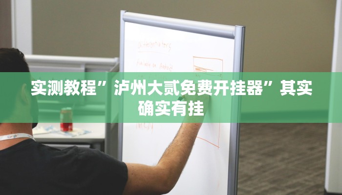 实测教程”泸州大贰免费开挂器”其实确实有挂