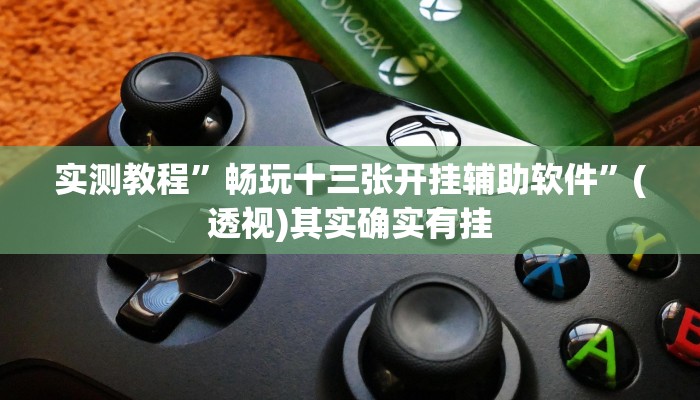 实测教程”畅玩十三张开挂辅助软件”(透视)其实确实有挂