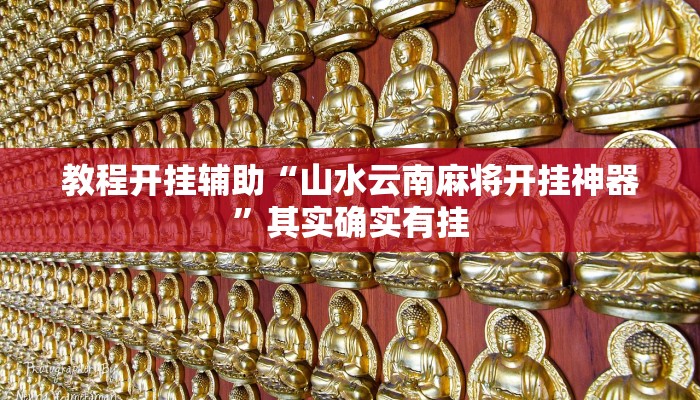 教程开挂辅助“山水云南麻将开挂神器”其实确实有挂