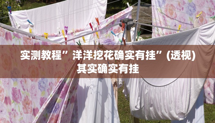 实测教程”洋洋挖花确实有挂”(透视)其实确实有挂 实测教程”洋洋挖花确实有挂”(透视)其实确实有挂