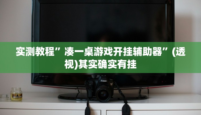 实测教程”凑一桌游戏开挂辅助器”(透视)其实确实有挂 实测教程”凑一桌游戏开挂辅助器”(透视)其实确实有挂