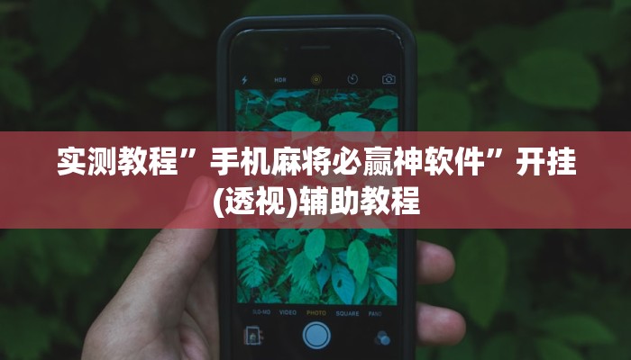 实测教程”手机麻将必赢神软件”开挂(透视)辅助教程 实测教程”手机麻将必赢神软件”开挂(透视)辅助教程