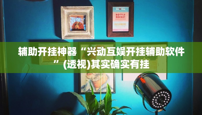 辅助开挂神器“兴动互娱开挂辅助软件”(透视)其实确实有挂 辅助开挂神器“兴动互娱开挂辅助软件”(透视)其实确实有挂