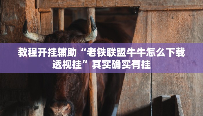 教程开挂辅助“老铁联盟牛牛怎么下载透视挂”其实确实有挂