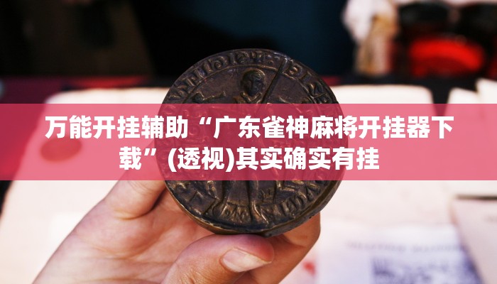 万能开挂辅助“广东雀神麻将开挂器下载”(透视)其实确实有挂