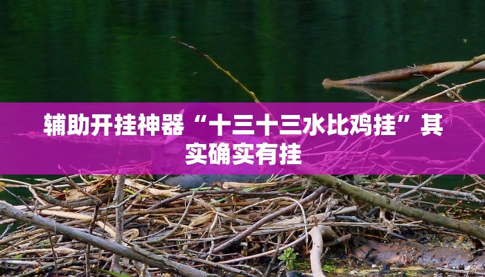 辅助开挂神器“十三十三水比鸡挂”其实确实有挂 辅助开挂神器“十三十三水比鸡挂”其实确实有挂