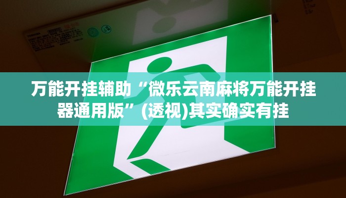 万能开挂辅助“微乐云南麻将万能开挂器通用版”(透视)其实确实有挂 万能开挂辅助“微乐云南麻将万能开挂器通用版”(透视)其实确实有挂