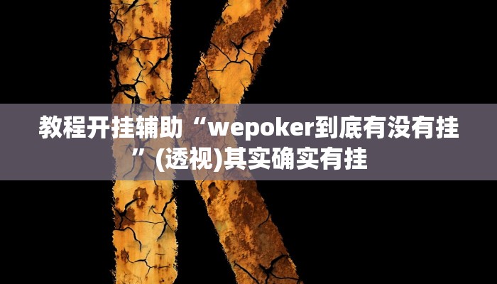 教程开挂辅助“wepoker到底有没有挂”(透视)其实确实有挂
