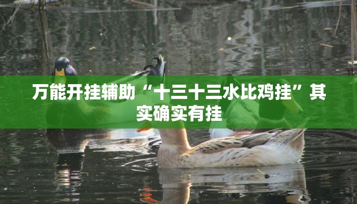 万能开挂辅助“十三十三水比鸡挂”其实确实有挂