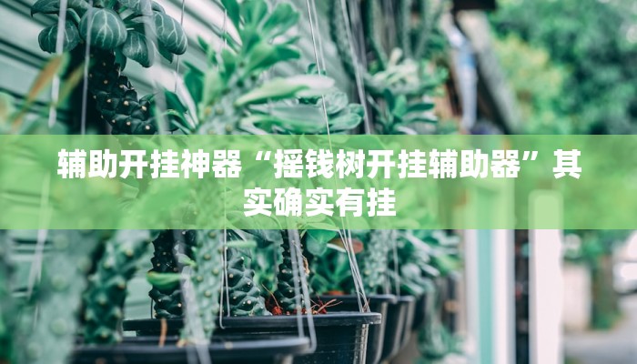 辅助开挂神器“摇钱树开挂辅助器”其实确实有挂 辅助开挂神器“摇钱树开挂辅助器”其实确实有挂
