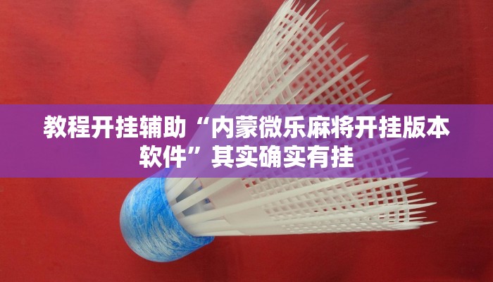 教程开挂辅助“内蒙微乐麻将开挂版本软件”其实确实有挂