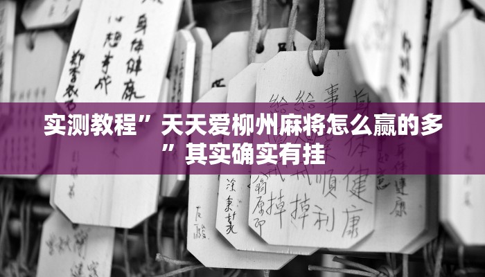 实测教程”天天爱柳州麻将怎么赢的多”其实确实有挂