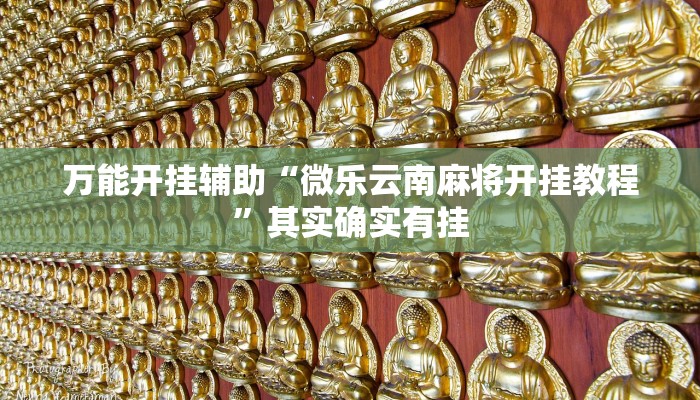 万能开挂辅助“微乐云南麻将开挂教程”其实确实有挂