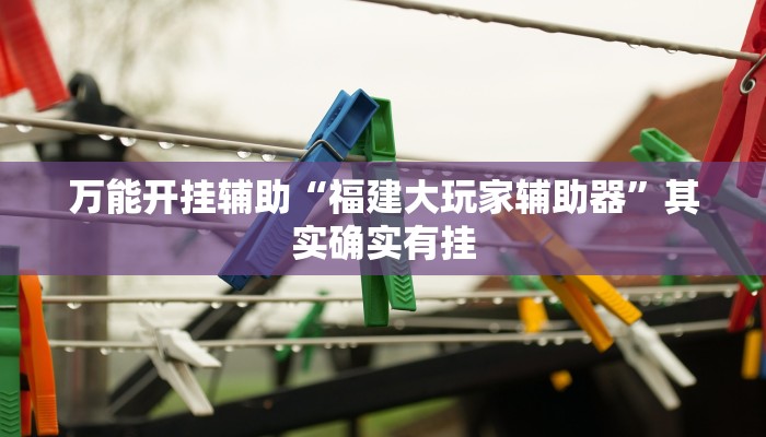 万能开挂辅助“福建大玩家辅助器”其实确实有挂