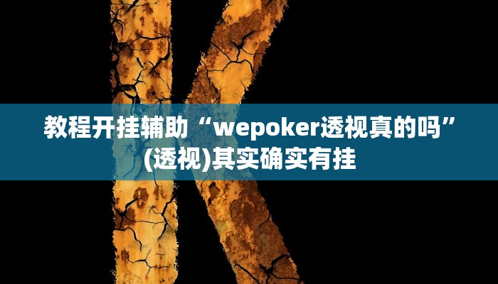 教程开挂辅助“wepoker透视真的吗”(透视)其实确实有挂 教程开挂辅助“wepoker透视真的吗”(透视)其实确实有挂