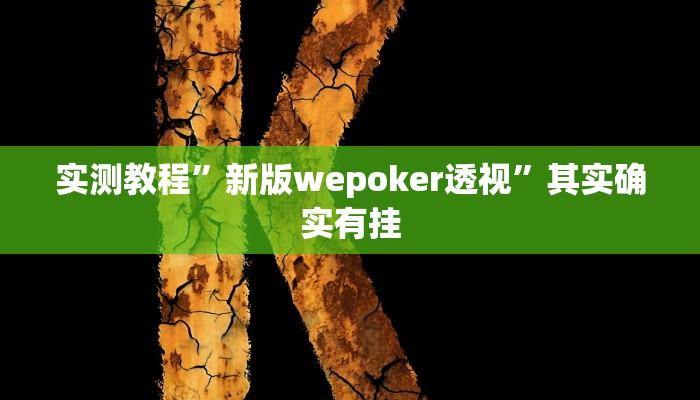 实测教程”新版wepoker透视”其实确实有挂