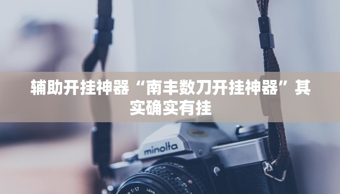 辅助开挂神器“忆游十三道如何开挂”(透视)其实确实有挂