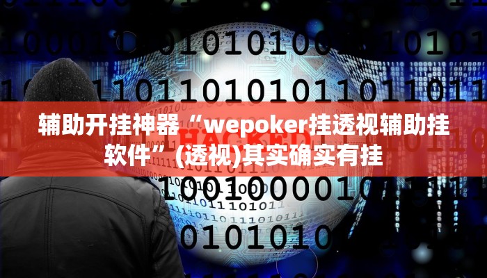 辅助开挂神器“wepoker挂透视辅助挂软件”(透视)其实确实有挂