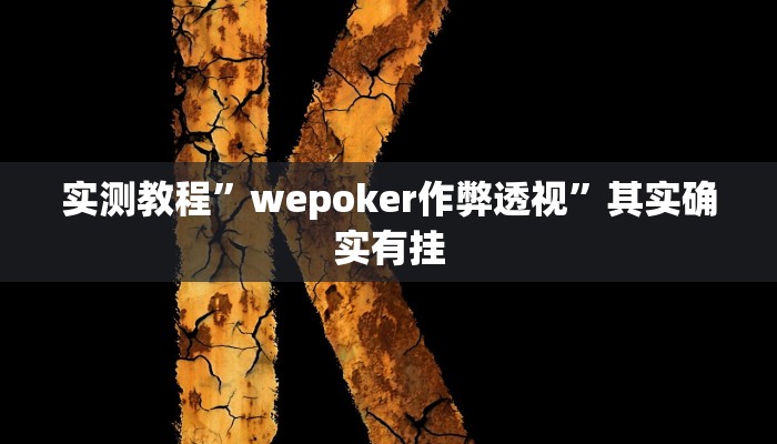 实测教程”wepoker作弊透视”其实确实有挂