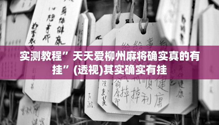 实测教程”天天爱柳州麻将确实真的有挂”(透视)其实确实有挂 实测教程”天天爱柳州麻将确实真的有挂”(透视)其实确实有挂