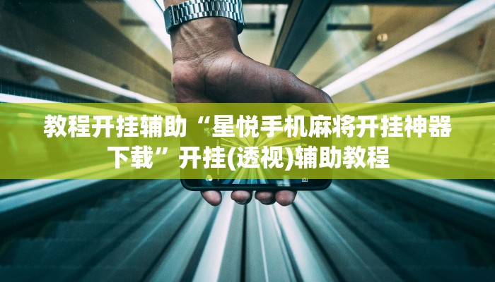 教程开挂辅助“星悦手机麻将开挂神器下载”开挂(透视)辅助教程 教程开挂辅助“星悦手机麻将开挂神器下载”开挂(透视)辅助教程