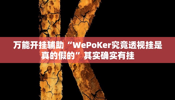 万能开挂辅助“WePoKer究竟透视挂是真的假的”其实确实有挂