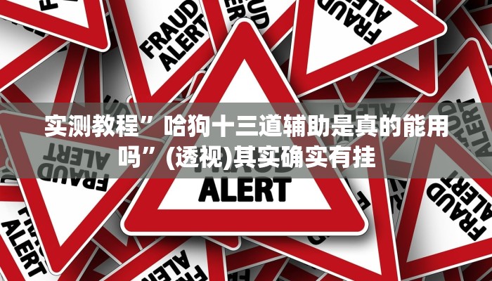 实测教程”哈狗十三道辅助是真的能用吗”(透视)其实确实有挂