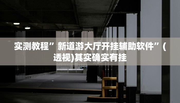 实测教程”新道游大厅开挂辅助软件”(透视)其实确实有挂