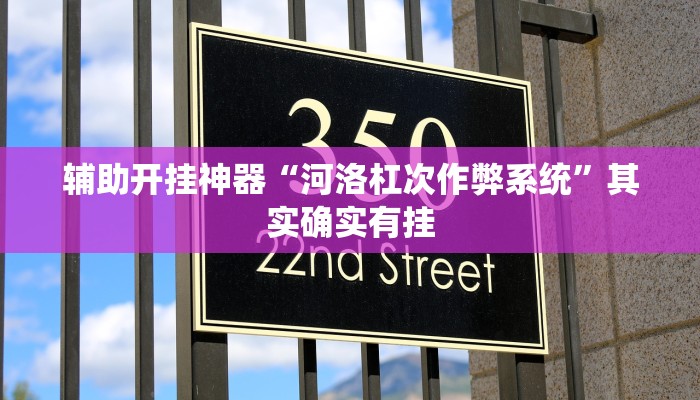 辅助开挂神器“河洛杠次作弊系统”其实确实有挂 辅助开挂神器“河洛杠次作弊系统”其实确实有挂