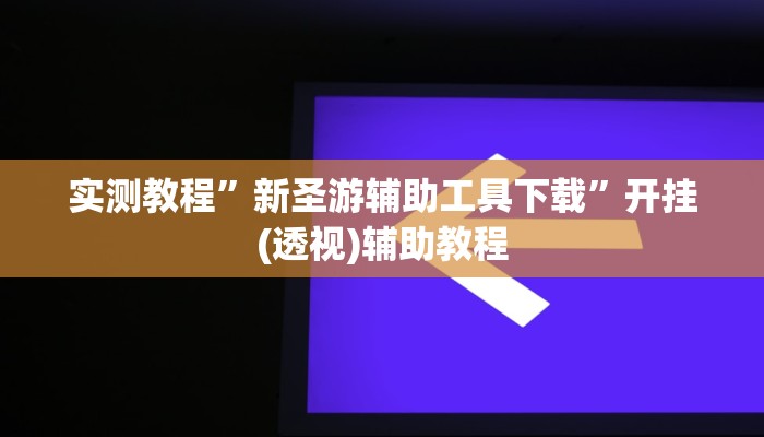 实测教程”新圣游辅助工具下载”开挂(透视)辅助教程 实测教程”新圣游辅助工具下载”开挂(透视)辅助教程