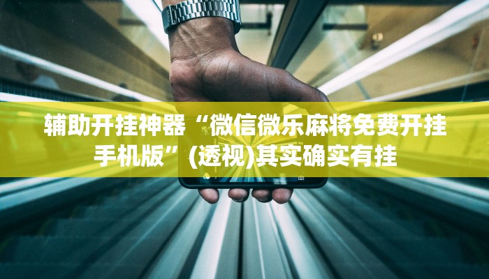 辅助开挂神器“微信微乐麻将免费开挂手机版”(透视)其实确实有挂 辅助开挂神器“微信微乐麻将免费开挂手机版”(透视)其实确实有挂