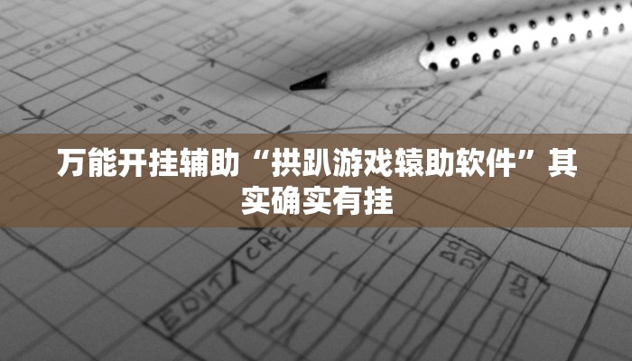 万能开挂辅助“拱趴游戏辕助软件”其实确实有挂